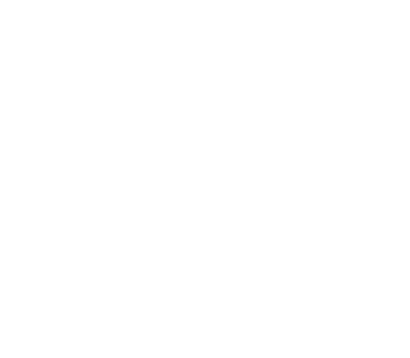 Logo williams bar